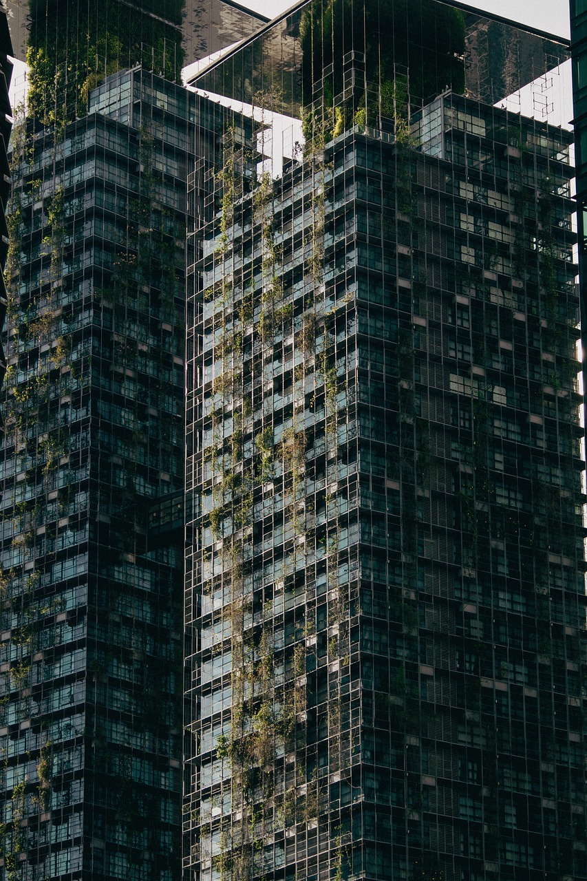En route vers des vacances écoresponsables : Trois astuces pour diminuer votre empreinte carbone