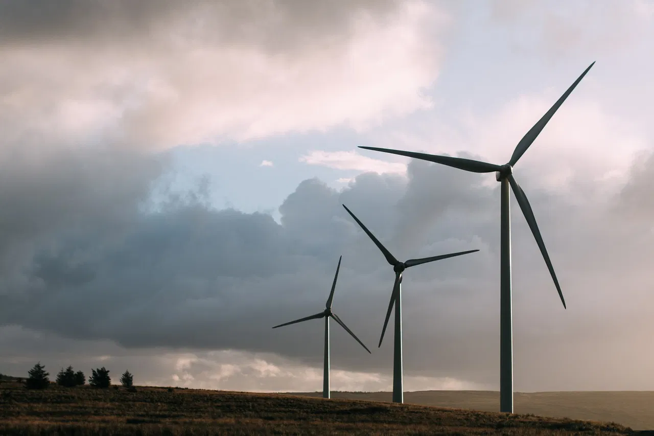 Énergies renouvelables : un levier pour réduire le bilan carbone