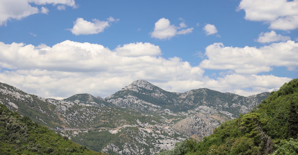 Réserves naturelles : préservation de la biodiversité et protection des écosystèmes