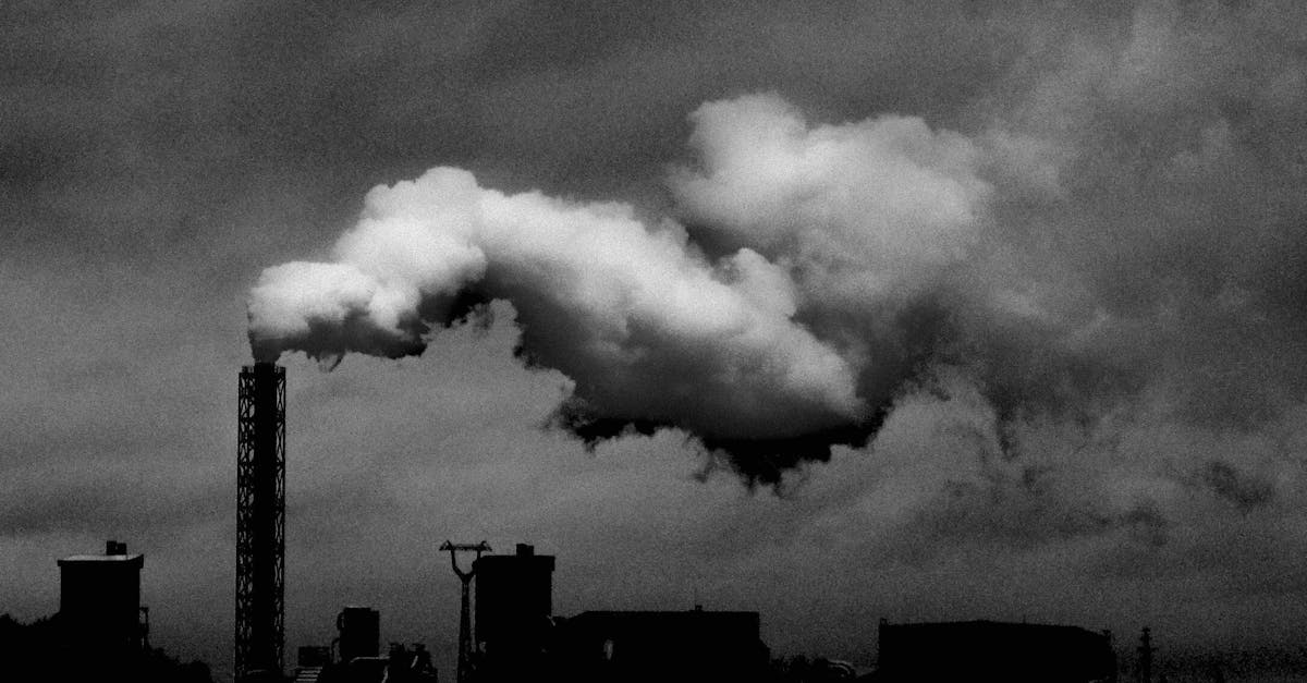 Écologie : 5 actions simples pour réduire votre empreinte carbone