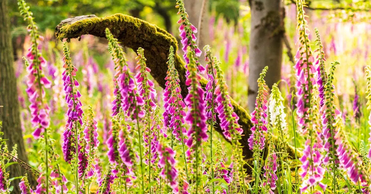 Gouvernance écologique : enjeux et stratégies pour un avenir durable