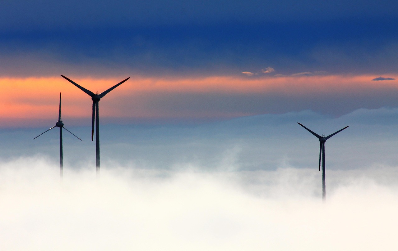Pourquoi choisir des produits ménagers écologiques pour votre maison en 2025 ?