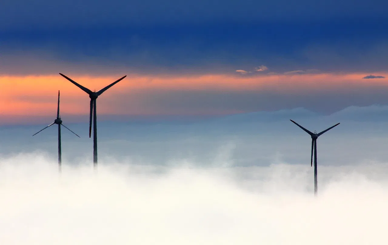 Pourquoi choisir des produits ménagers écologiques pour votre maison en 2025 ?