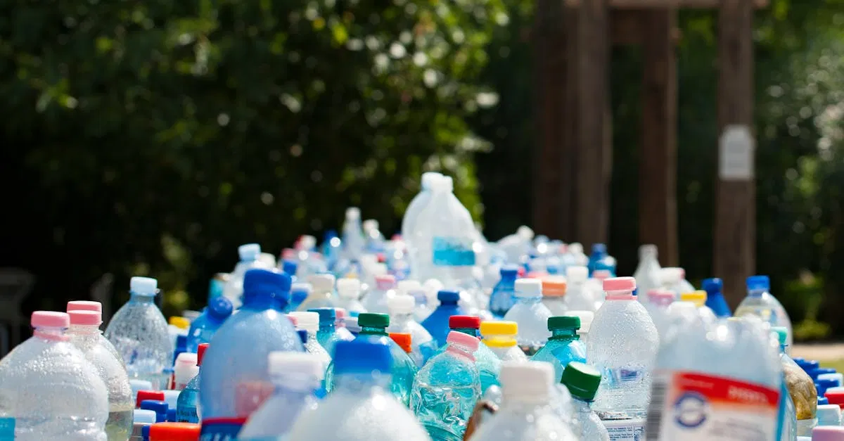 Taux de recyclage : Comment améliorer les chiffres dans votre communauté