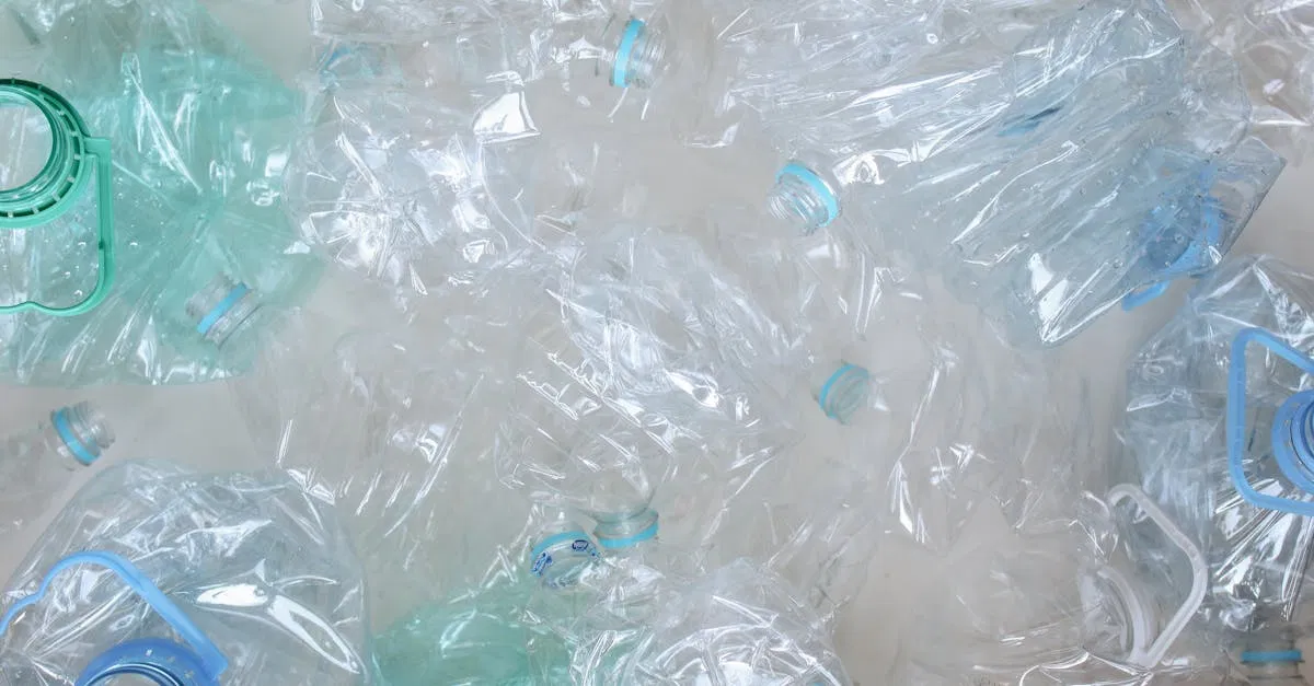Recyclage : 10 astuces pour mieux trier vos déchets au quotidien