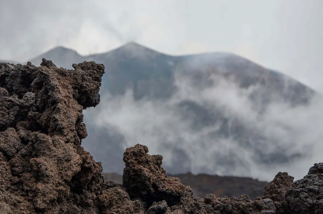 Captures de carbone : une solution prometteuse pour lutter contre le changement climatique