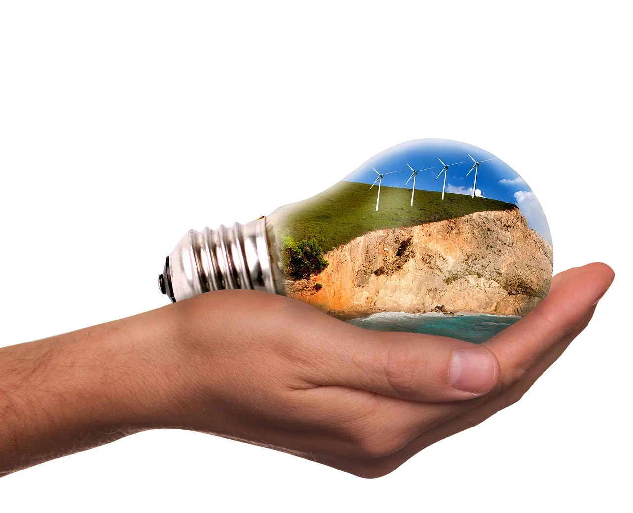 Transition écologique : la Cour des comptes tire la sonnette d’alarme et appelle à une action immédiate