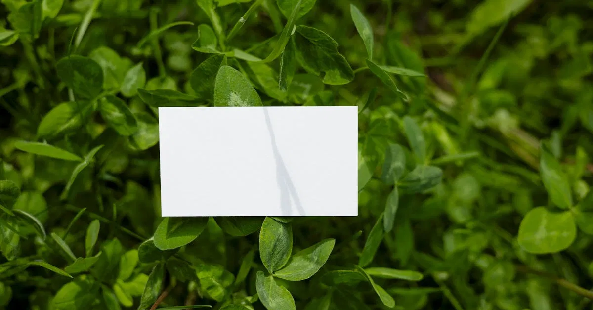 Entreprises vertes : Comment innover pour un avenir durable