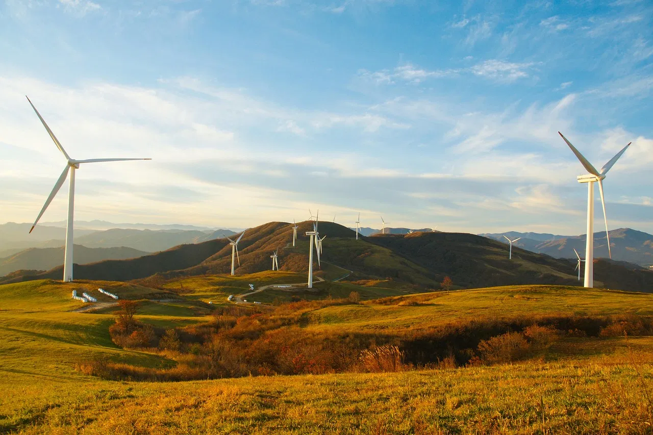 Vers un Avenir Écologique : Le Chemin vers un Changement Durable