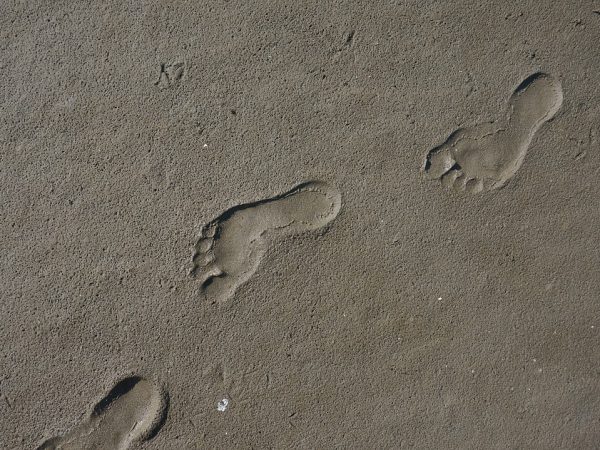 découvrez ce qu'est l'empreinte carbone, ses impacts sur l'environnement et comment réduire votre contribution aux changements climatiques. adoptez des pratiques durables pour préserver notre planète.