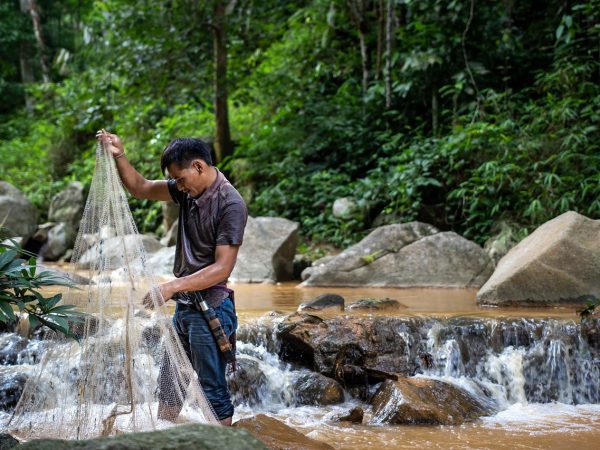 découvrez les stratégies et innovations essentielles pour atteindre les objectifs de zéro émission nette. explorez les solutions durables et l'impact positif sur notre planète.