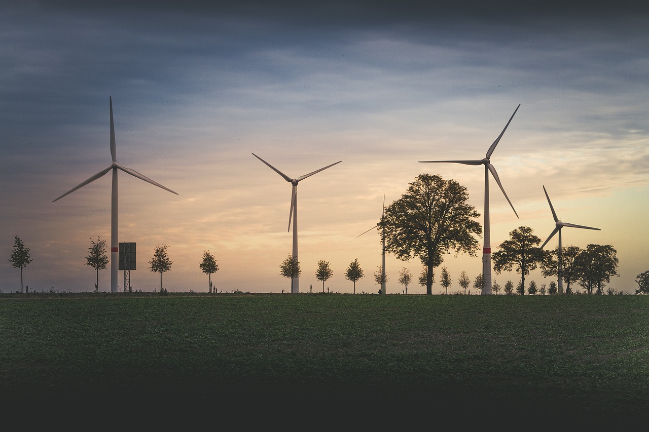 découvrez l'impact environnemental des activités humaines et les solutions pour un avenir durable. explorez les enjeux liés à la pollution, la biodiversité et le changement climatique.