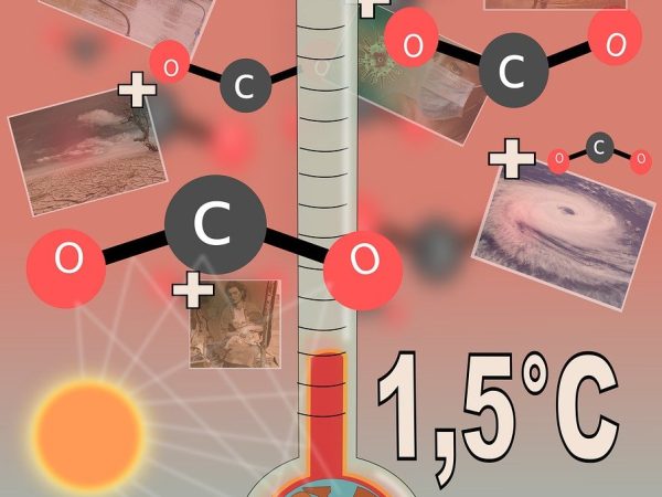 découvrez la cop21, une conférence mondiale sur le climat qui a réuni des leaders, scientifiques et activistes pour élaborer des solutions durables face au changement climatique et promouvoir des engagements ambitieux en matière de réduction des émissions de gaz à effet de serre.