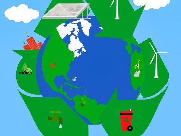 découvrez comment adopter un mode de vie durable grâce à des conseils pratiques et des idées inspirantes pour réduire votre impact environnemental tout en améliorant votre qualité de vie.