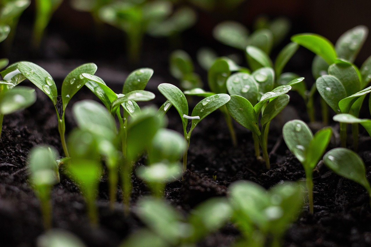 découvrez des solutions durables qui allient innovation et respect de l'environnement. explorez des pratiques écoresponsables pour un avenir meilleur.