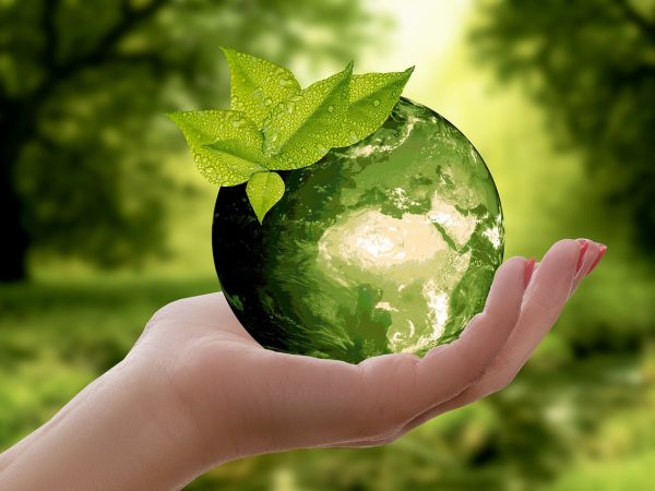 découvrez les enjeux de la durabilité et comment adopter des pratiques respectueuses de l'environnement pour un avenir plus vert. explorez des solutions concrètes pour réduire votre empreinte écologique et contribuer à la préservation de notre planète.