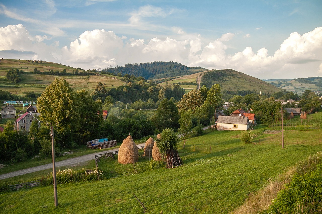 découvrez les eco-villages : des communautés durables où l'harmonie avec la nature et le bien-être des habitants sont au cœur de chaque projet. explorez des modes de vie respectueux de l'environnement, des pratiques agricoles biologiques, et des initiatives d'entraide locale.