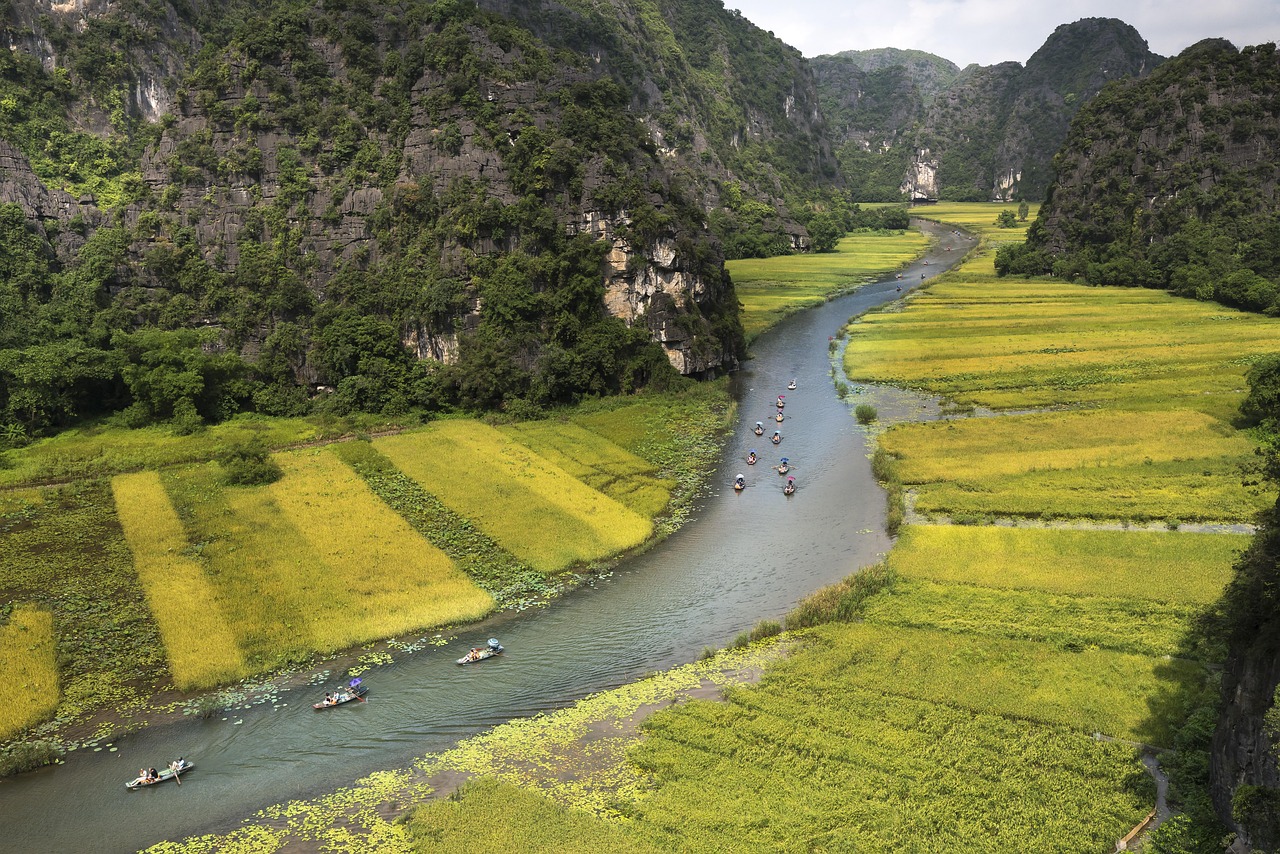 découvrez comment les ong œuvrent pour le bien commun à travers le monde. explorez leurs missions, impacts et initiatives visant à soutenir les communautés locales et à promouvoir des causes sociales et environnementales.