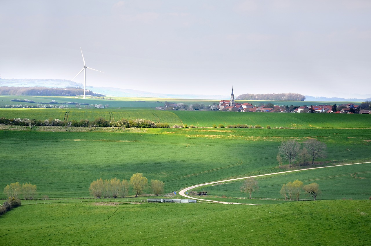 découvrez les enjeux du développement durable, une approche visant à concilier croissance économique, protection de l'environnement et bien-être social pour un avenir durable. apprenez comment agir positivement pour notre planète et les générations futures.