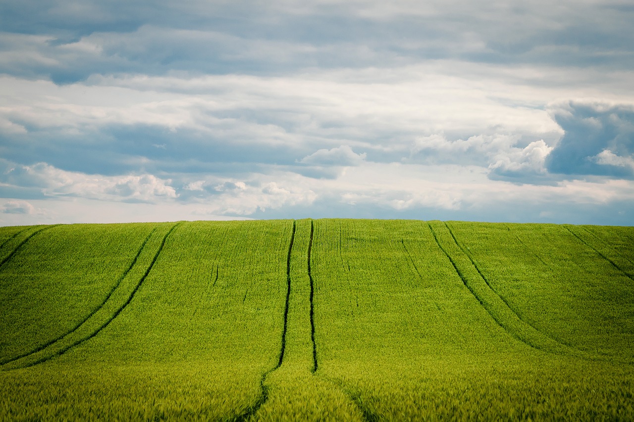 découvrez l'univers de l'agriculture à travers ses techniques innovantes, ses enjeux environnementaux et économiques, et les pratiques durables qui façonnent notre avenir. explorez comment l'agriculture contribue à la sécurité alimentaire et à la préservation de nos ressources.