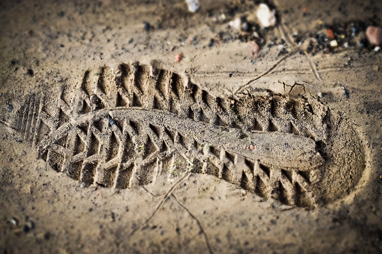 découvrez tout sur l'empreinte carbone, son impact environnemental et les solutions pour la réduire. informez-vous sur les méthodes pour adopter un mode de vie plus durable et contribuer à la lutte contre le changement climatique.