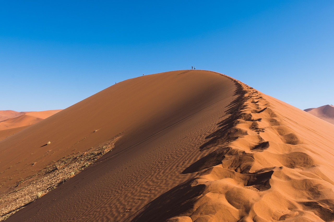 découvrez comment l'intégration des enjeux climatiques peut transformer les politiques, les entreprises et les comportements individuels pour un avenir durable. explorez des solutions innovantes et des approches pratiques pour faire face aux défis environnementaux actuels.