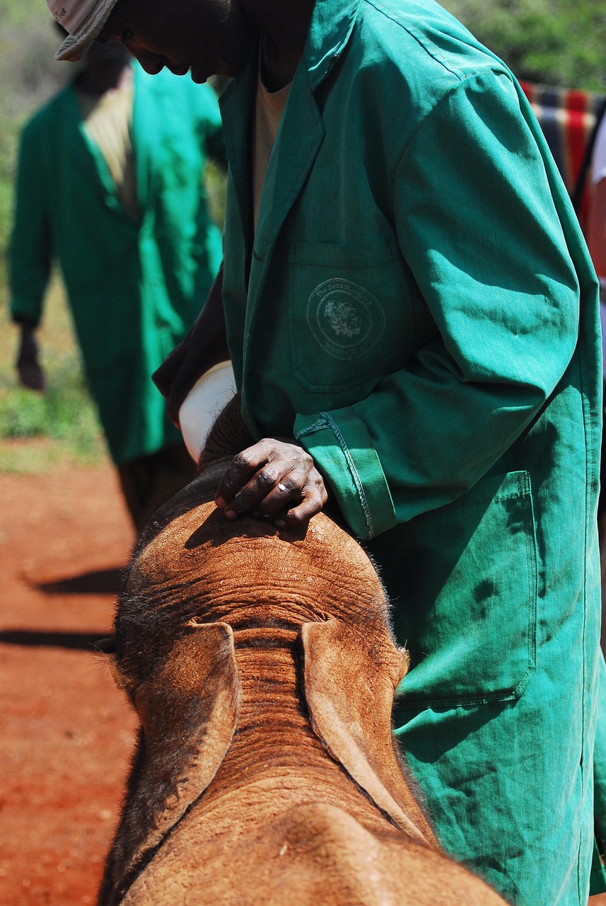 découvrez le monde des ong (organisations non gouvernementales) et leur rôle essentiel dans la lutte pour les droits humains, la protection de l'environnement et le soutien aux communautés vulnérables. explorez les initiatives, projets et impacts des ong à travers le globe.