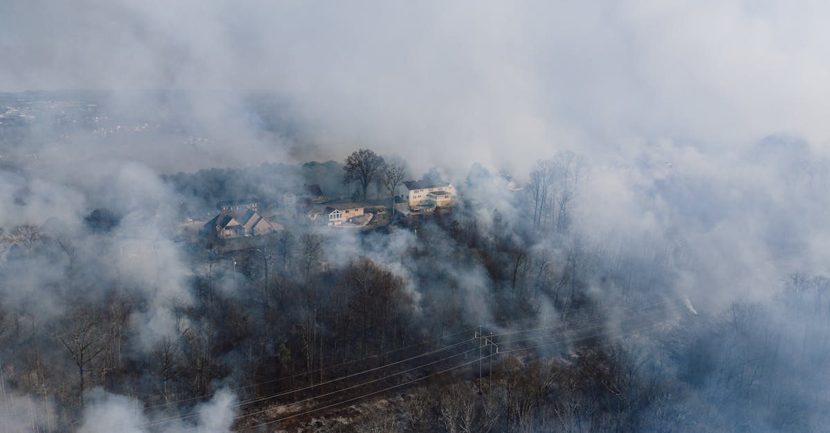 découvrez notre politique environnementale engagée qui vise à réduire notre empreinte écologique, préserver la biodiversité et promouvoir un développement durable. ensemble, agissons pour un avenir plus vert.