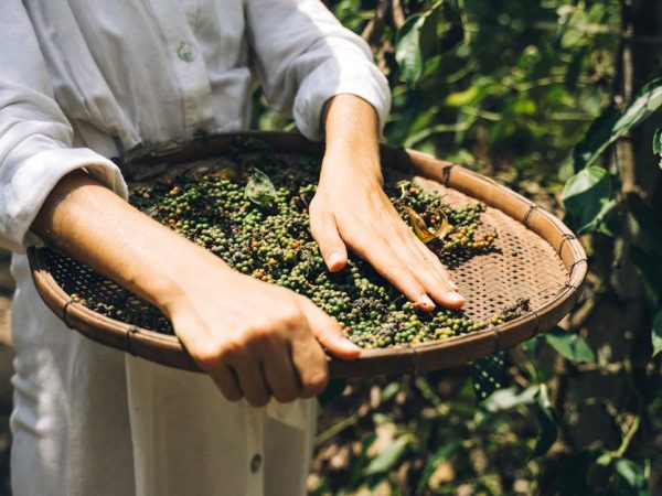 découvrez comment adopter une culture durable qui respecte l'environnement tout en favorisant l'épanouissement social et économique. explorez des pratiques innovantes et responsables pour un avenir meilleur.