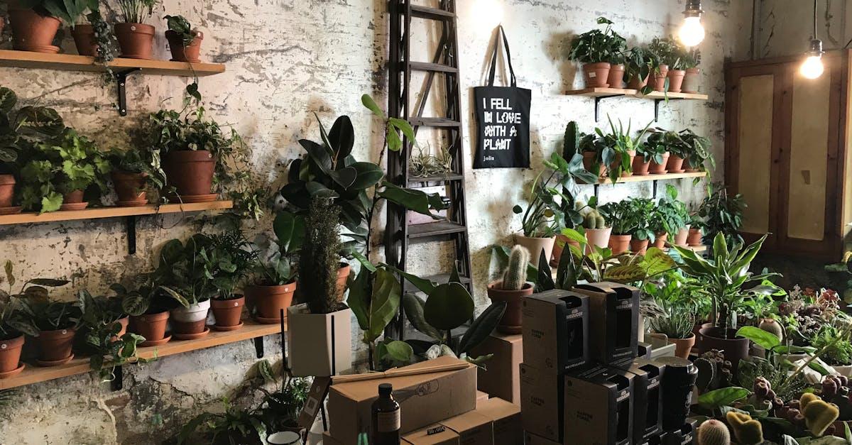 découvrez comment l'urbanisme durable transforme nos villes en espaces vivant et respectueux de l'environnement. explorez les initiatives éco-responsables et les pratiques innovantes qui favorisent un développement urbain harmonieux et durable.