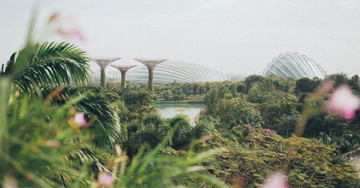 découvrez le concept de l'urbanisme durable, une approche innovante pour créer des villes écologiques et responsables. explorez les stratégies visant à réduire l'empreinte carbone, à promouvoir la biodiversité et à améliorer la qualité de vie des habitants tout en intégrant des infrastructures durables.