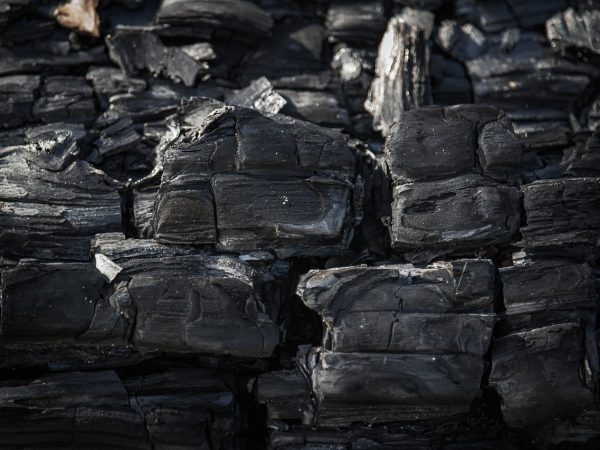 découvrez l'importance de la comptabilité carbone pour mesurer et réduire votre empreinte écologique. apprenez comment les entreprises peuvent suivre leurs émissions de gaz à effet de serre et adopter des pratiques durables pour un avenir plus vert.