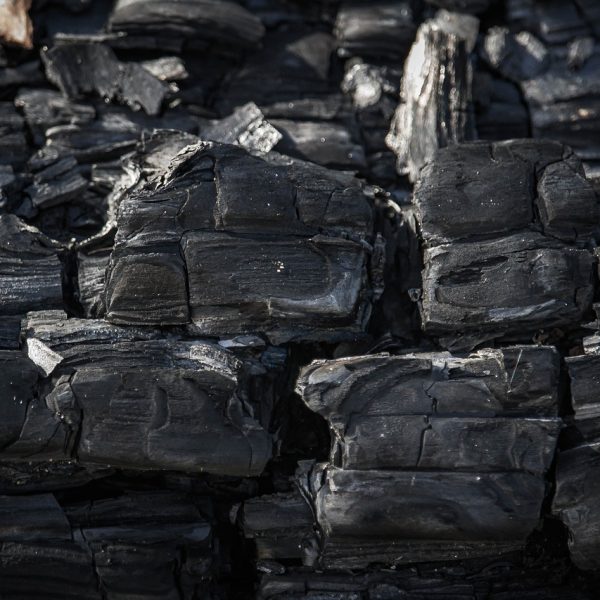 découvrez l'importance de la comptabilité carbone pour mesurer et réduire votre empreinte écologique. apprenez comment les entreprises peuvent suivre leurs émissions de gaz à effet de serre et adopter des pratiques durables pour un avenir plus vert.