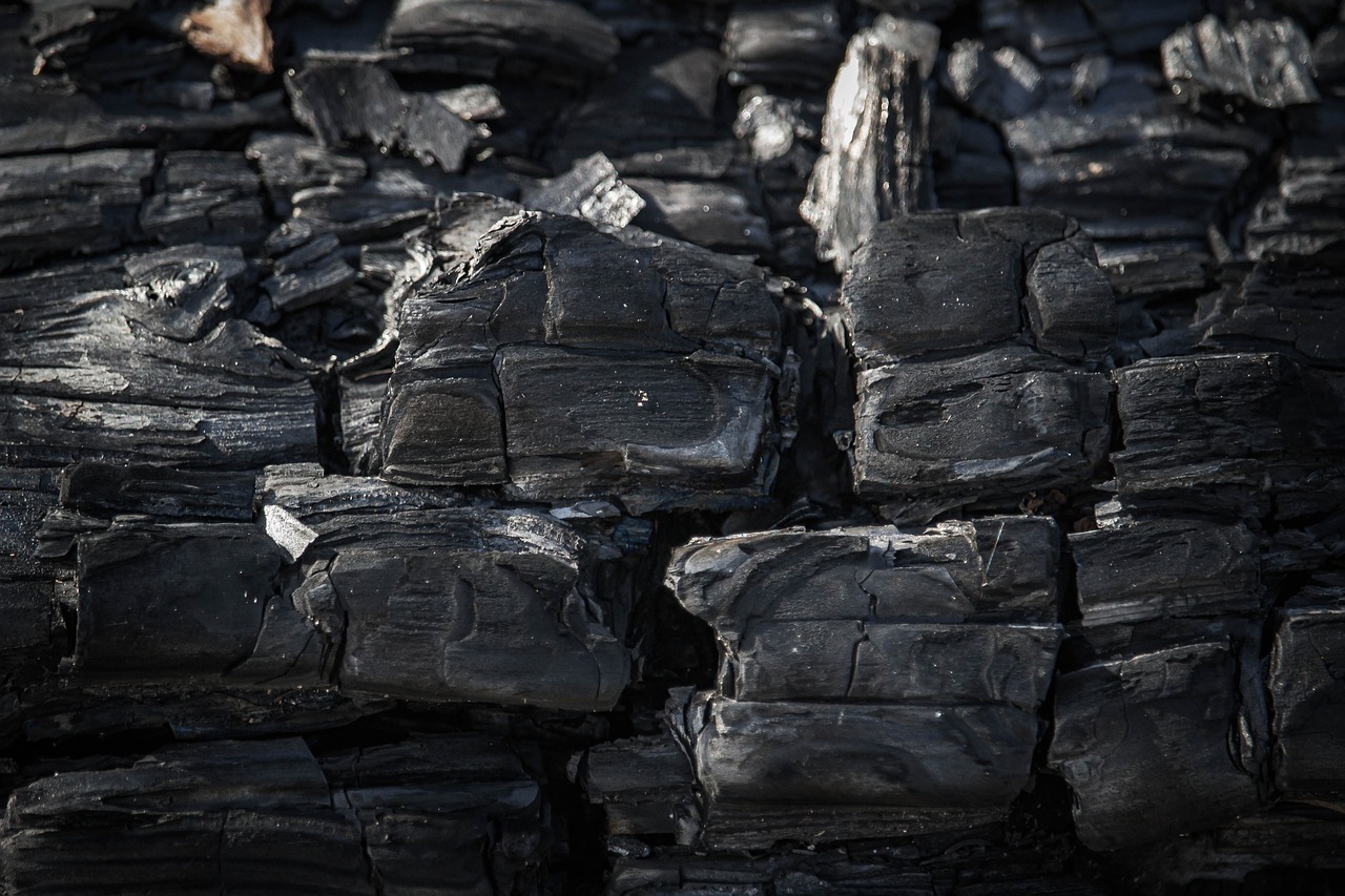 découvrez l'importance de la comptabilité carbone pour mesurer et réduire votre empreinte écologique. apprenez comment les entreprises peuvent suivre leurs émissions de gaz à effet de serre et adopter des pratiques durables pour un avenir plus vert.
