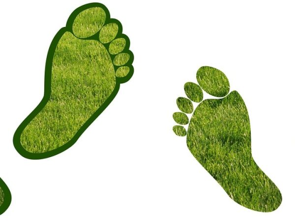 découvrez comment réduire votre empreinte carbone grâce à des actions simples et efficaces. apprenez l'importance de la durabilité et les moyens d'adopter un mode de vie plus respectueux de l'environnement.