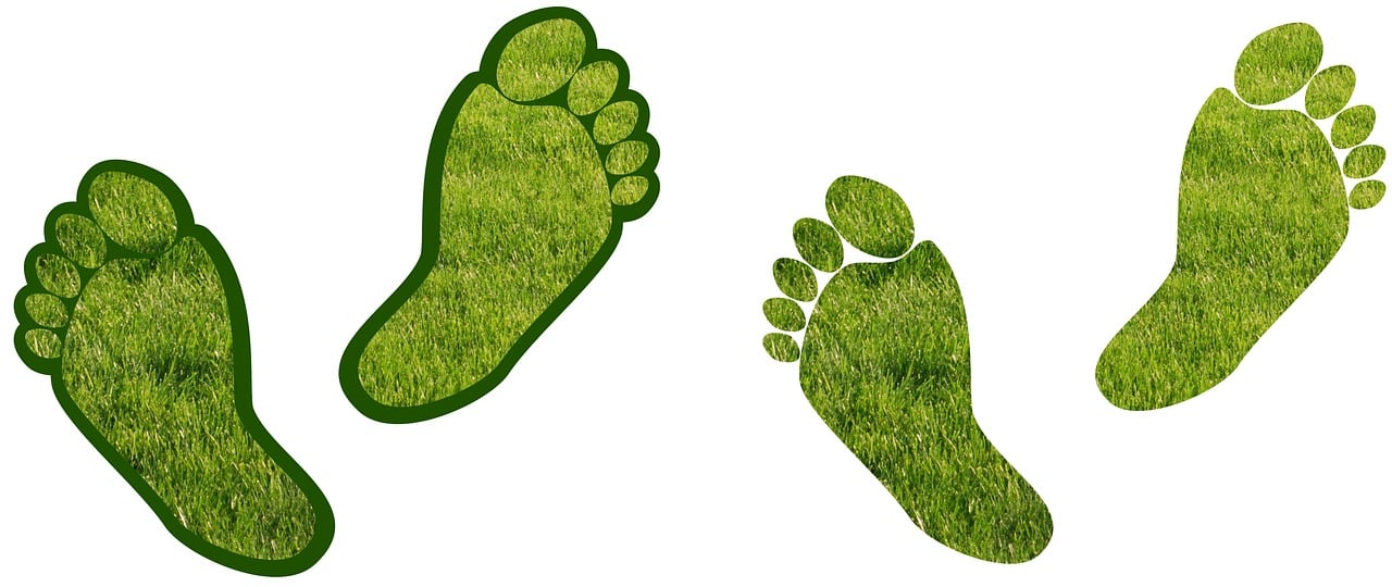 découvrez comment réduire votre empreinte carbone grâce à des actions simples et efficaces. apprenez l'importance de la durabilité et les moyens d'adopter un mode de vie plus respectueux de l'environnement.