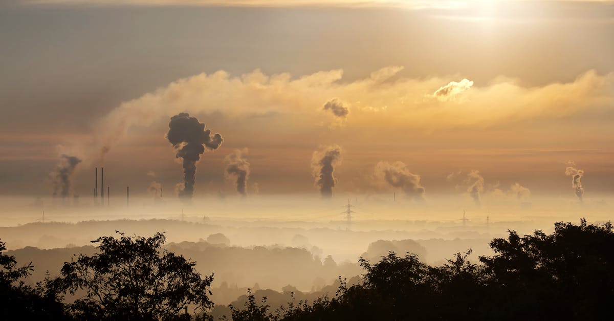 découvrez comment compenser votre empreinte carbone grâce à des solutions innovantes et durables. apprenez à réduire les émissions de co2 et participez à la lutte contre le changement climatique en adoptant des actions responsables.