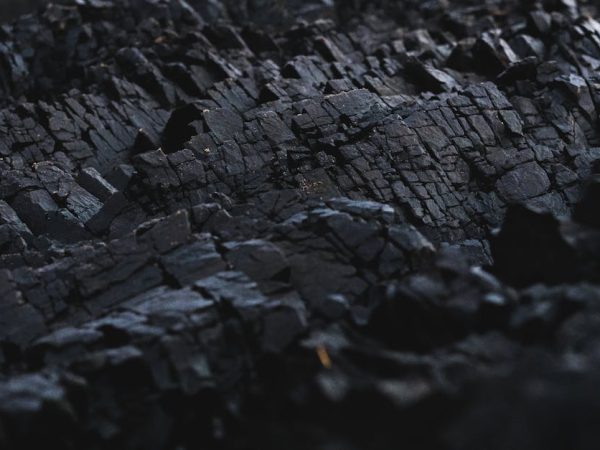 découvrez le concept de compensation carbone et comment il contribue à la lutte contre le changement climatique. apprenez à réduire votre empreinte carbone en investissant dans des projets écologiques durables qui préservent notre planète pour les générations futures.