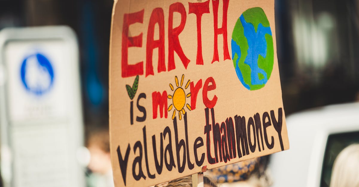découvrez les enjeux et les solutions face aux changements climatiques. explorez les impacts sur notre planète et comment chacun peut contribuer à un avenir plus durable.