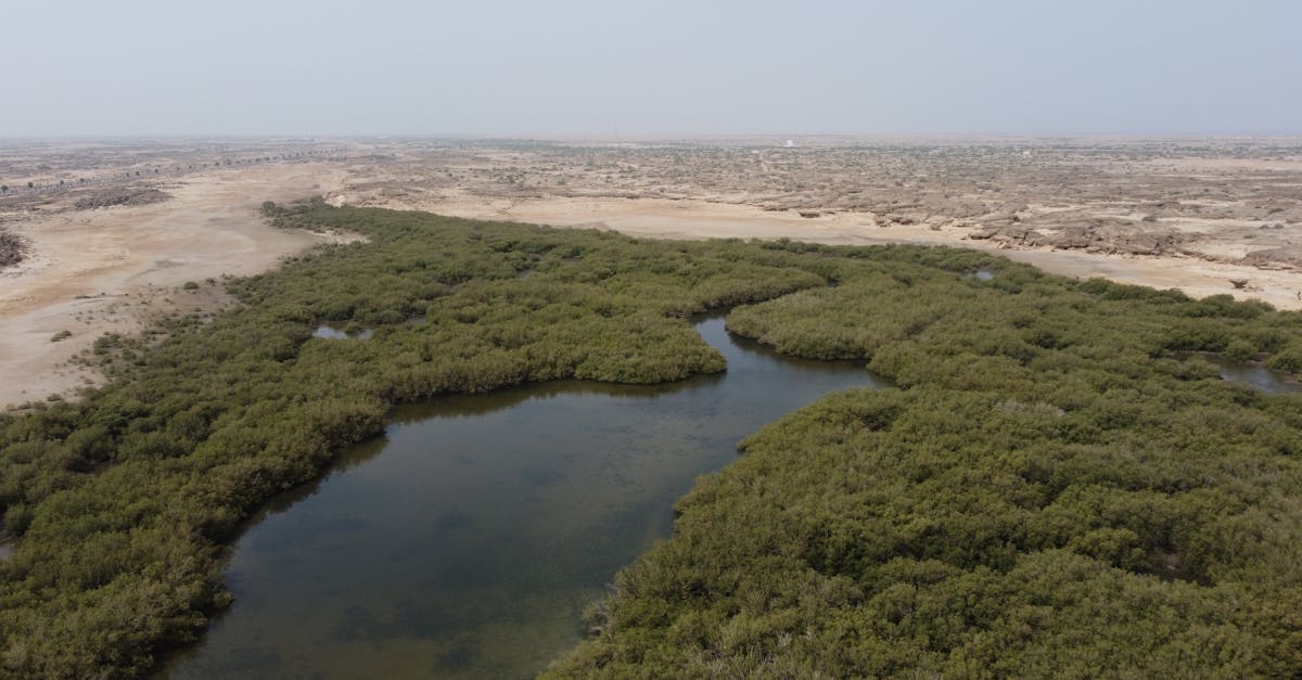 découvrez des stratégies et solutions innovantes pour l'adaptation au climat, afin de minimiser les impacts des changements climatiques sur nos sociétés et notre environnement.