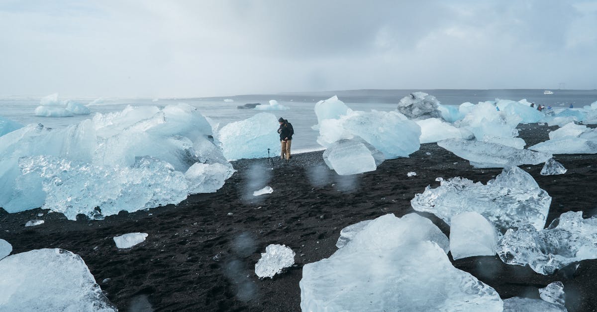 découvrez les enjeux et les impacts du changement climatique sur notre planète, ainsi que les actions indispensables pour préserver l'environnement et garantir un avenir durable.
