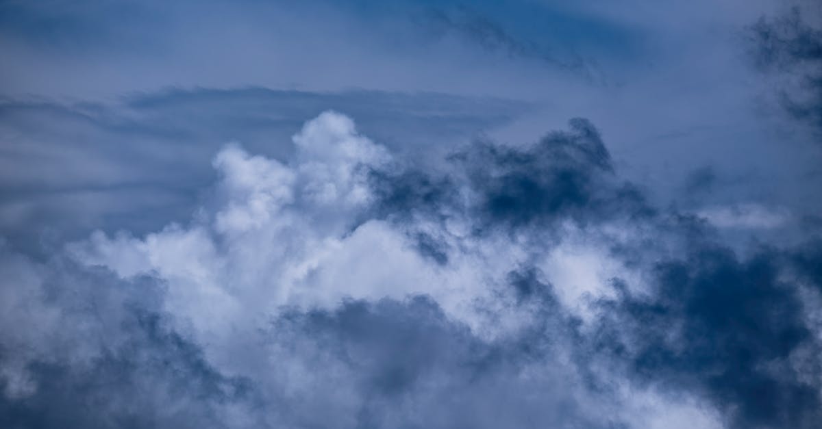 découvrez comment le financement climatique joue un rôle crucial dans la lutte contre le changement climatique. apprenez-en davantage sur les initiatives, les investissements et les projets visant à soutenir la transition vers une économie durable et résiliente.