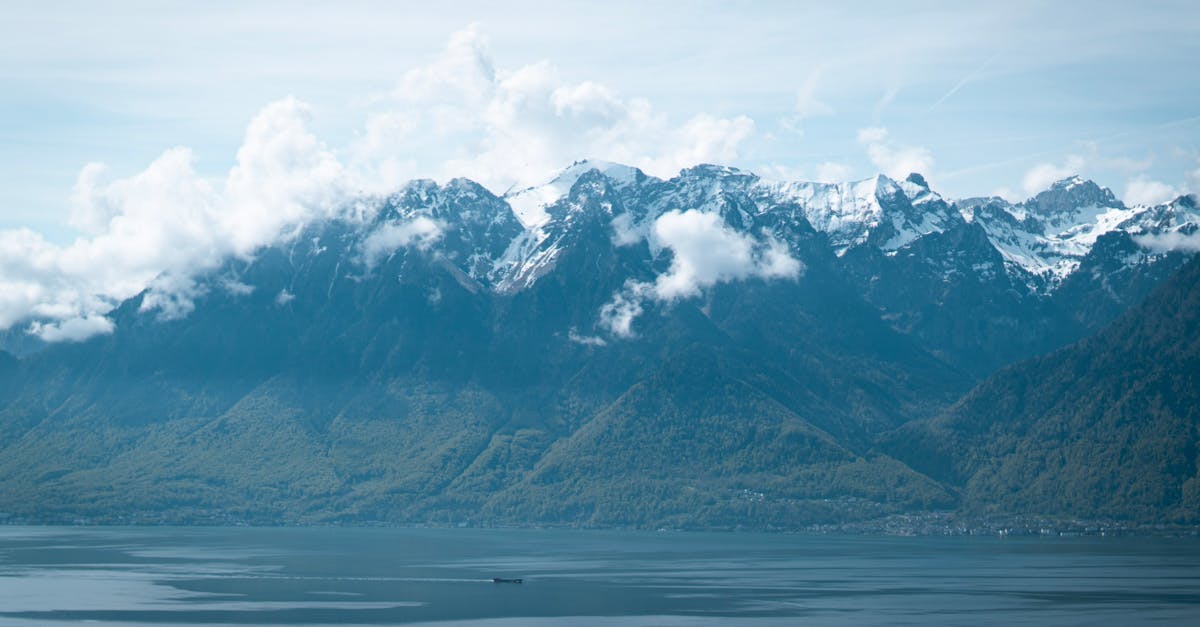 découvrez des stratégies innovantes et efficaces pour lutter contre le changement climatique. apprenez comment des actions individuelles et collectives peuvent contribuer à un avenir durable.