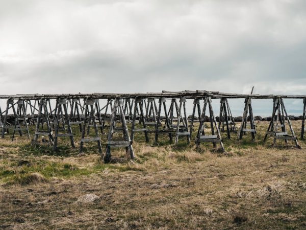 découvrez des stratégies innovantes et efficaces pour lutter contre le changement climatique. explorez des solutions durables et des initiatives pour réduire votre empreinte carbone et promouvoir un avenir éco-responsable.