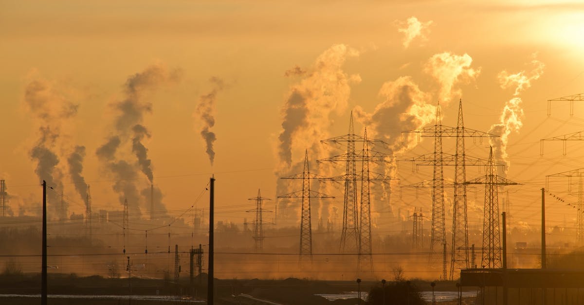 découvrez les enjeux et les impacts du changement climatique sur notre planète. informez-vous sur les actions à entreprendre pour préserver notre environnement et favoriser un développement durable.