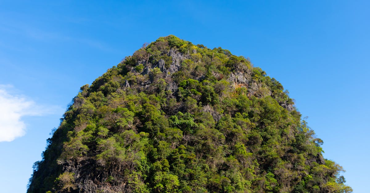 découvrez l'écotourisme, une approche de voyage durable qui préserve les environnements naturels et valorise les cultures locales. engagez-vous pour une expérience authentique et responsable en explorant des destinations respectueuses de la biodiversité et des communautés.