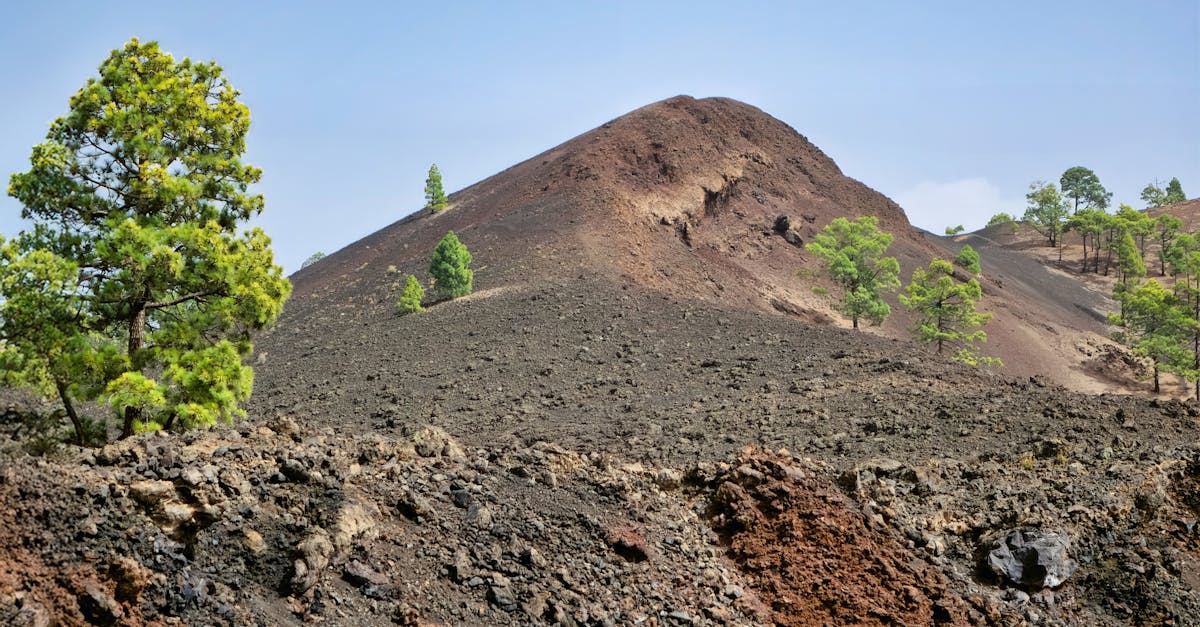 découvrez l'écotourisme, une forme de voyage responsable qui préserve l'environnement tout en offrant des expériences authentiques. explorez la nature, rencontrez des communautés locales et participez à des initiatives durables, tout en minimisant votre impact écologique.