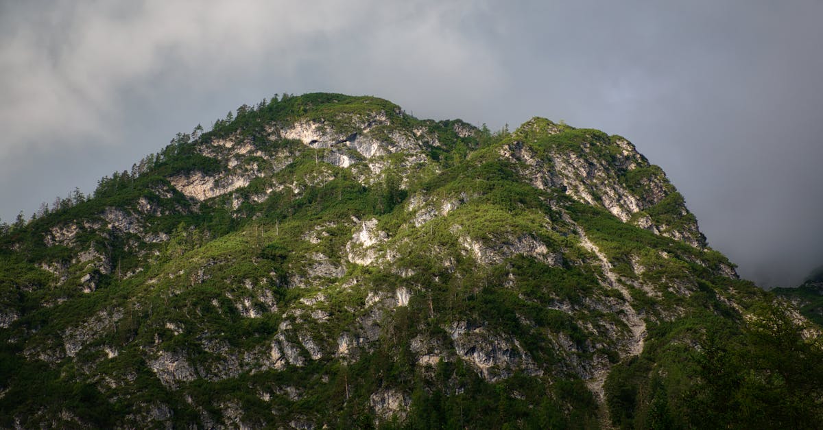 découvrez l'écotourisme, une façon responsable de voyager qui respecte l'environnement et les cultures locales. explorez des destinations uniques tout en préservant la nature et en soutenant les communautés. engagez-vous dans des activités durables et laissez un impact positif sur la planète.