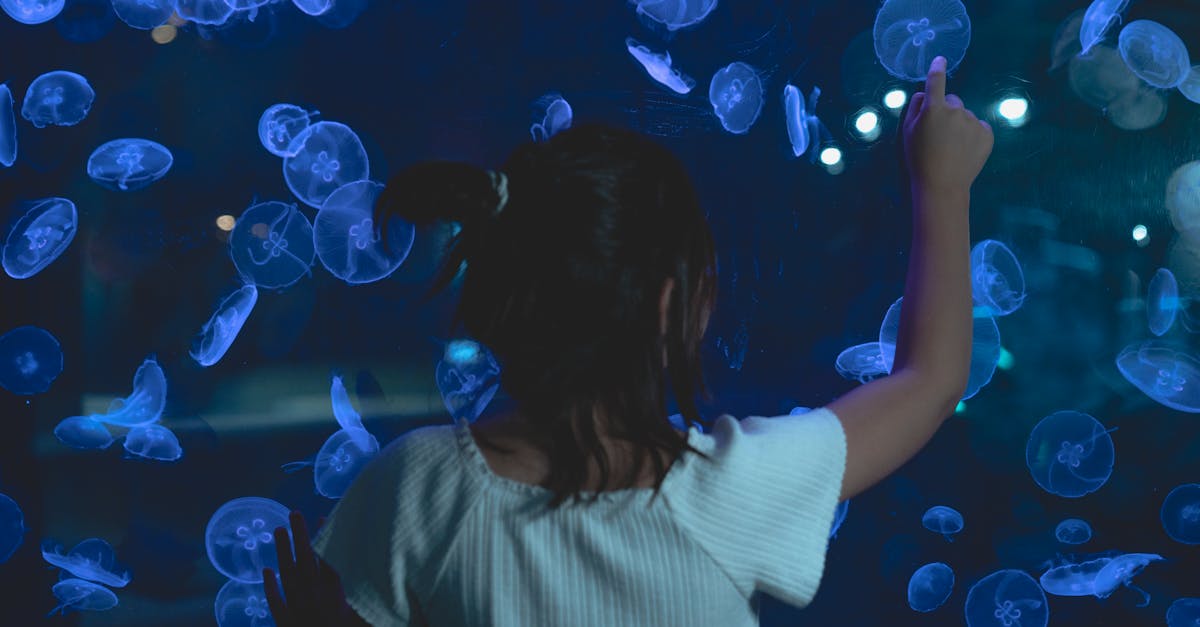 découvrez l'éducation environnementale, une approche essentielle pour sensibiliser et former les futurs acteurs du développement durable. apprenez à valoriser la biodiversité, à comprendre les enjeux écologiques et à agir pour préserver notre planète. engagez-vous dans un apprentissage qui favorise des comportements écoresponsables.