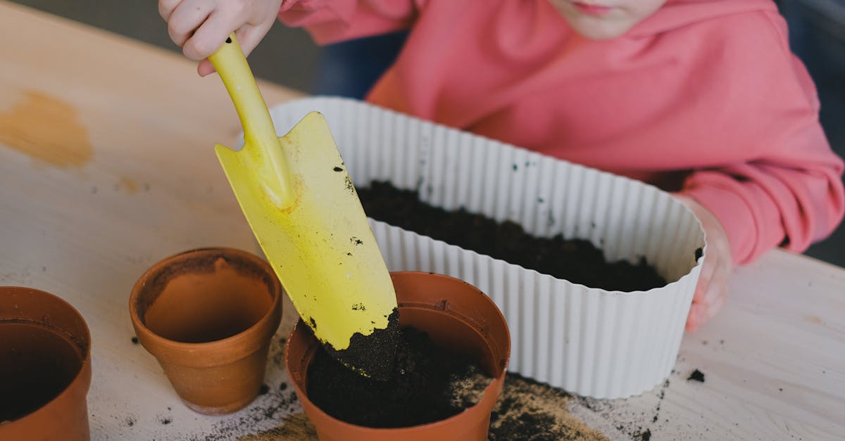 découvrez l'importance de l'éducation environnementale pour sensibiliser les générations futures aux enjeux écologiques. apprenez comment des initiatives et des programmes innovants peuvent contribuer à la protection de notre planète et à la promotion d'un mode de vie durable.